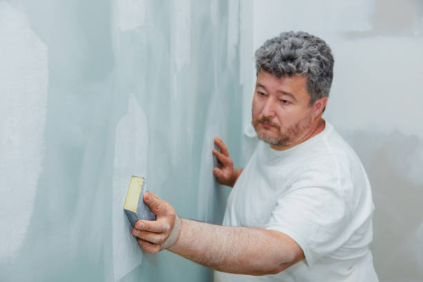Professional Mold Removal in Jacksonville, TX